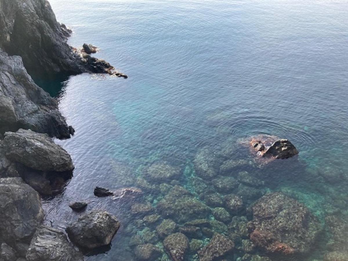 Апартаменты La Gemma Di Monterosso, In Centro Vicino Al Mare Монтероссо-аль-Маре Экстерьер фото